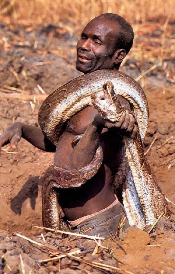 Snake noodling
