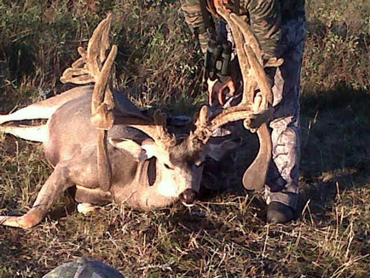 Cody Robbins Saskatchewan Archery Mule Deer
