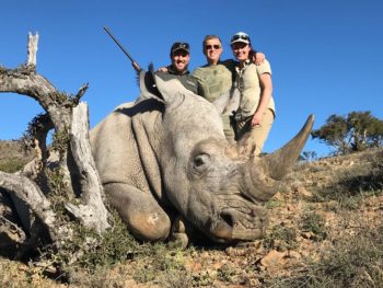 Rhino