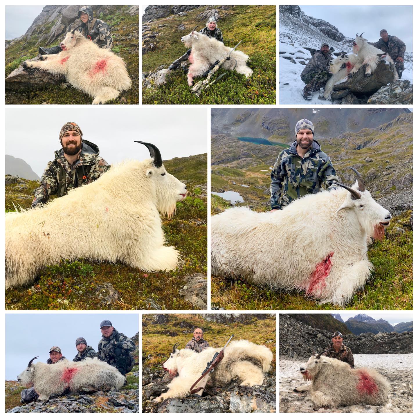 Mountain Goat Hunting with Pacific Mountain Guides