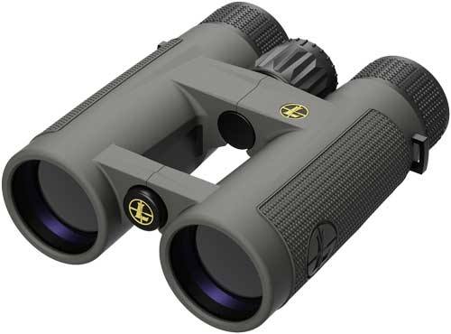 Leupold BX-4 Pro Guide HD 10x42 Roof Prism Binocular, Gray
