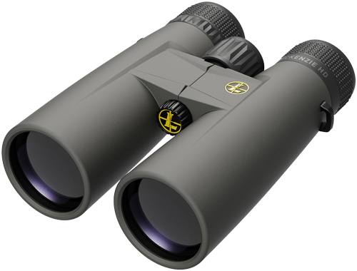 Leupold BX-1 McKenzie HD 10x42 Roof Binocular - Gray