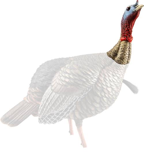 Avian-X HDR Jake Decoy