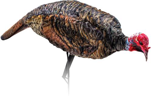 Montana Decoy Turkey Jake Purr-fect XD