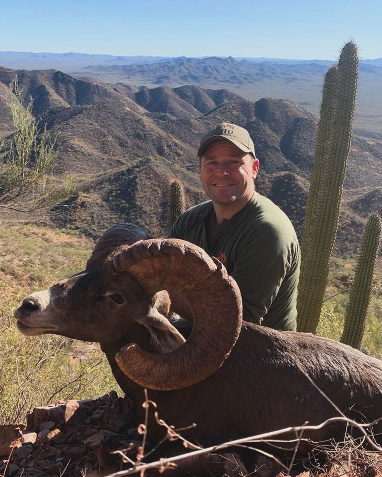 Mexico Desert Bighorn CO JJ s Sheep