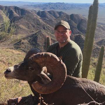 Mexico Desert Bighorn CO JJ s Sheep
