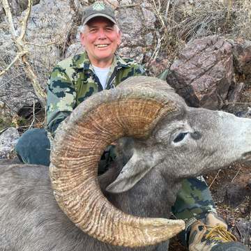Mexico Desert Sheep CO2