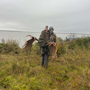 UGA DIY Moose 2026