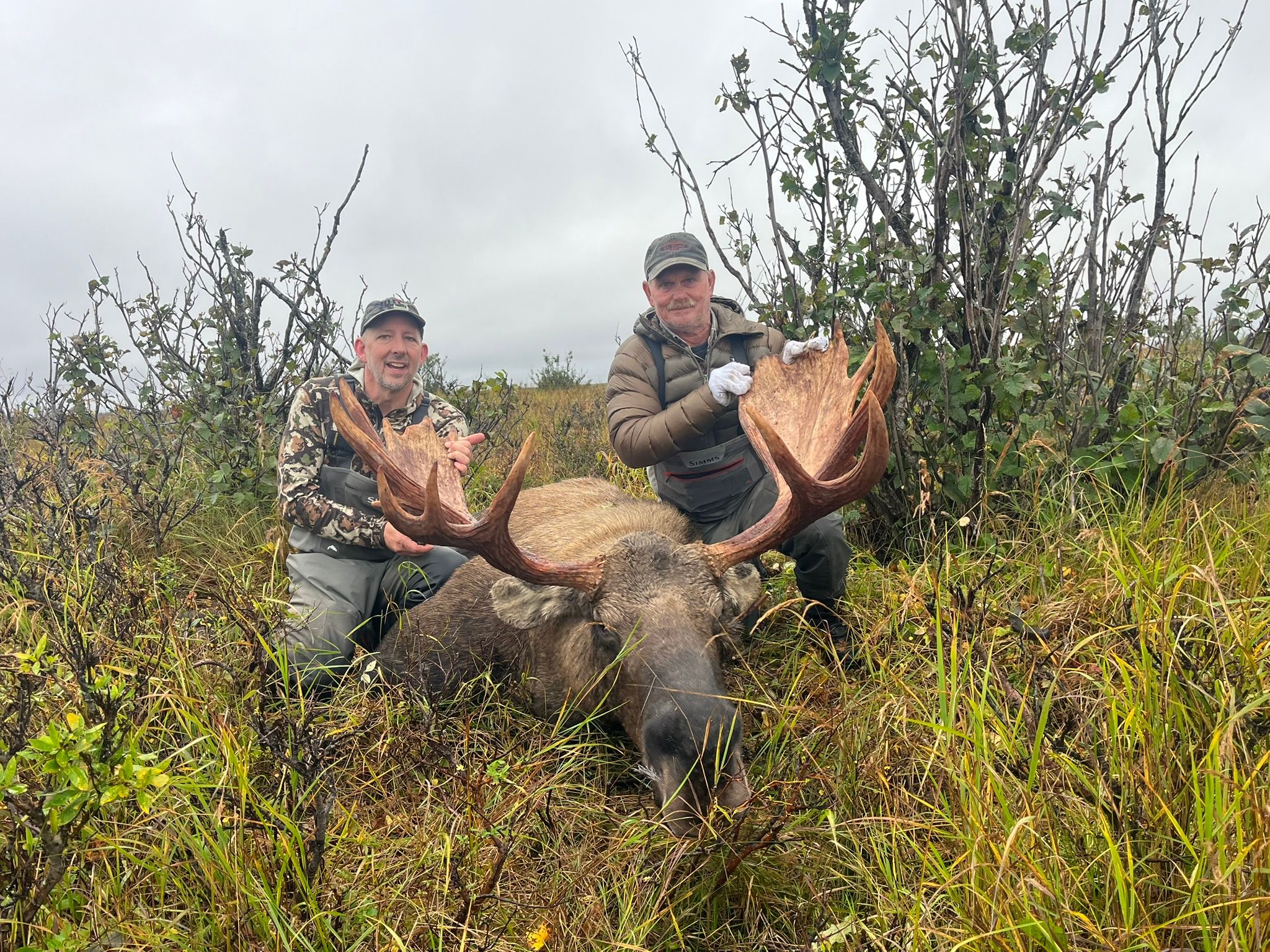 Two hunters kneeling behind a harvested bull moose with large palmate antlers in tundra scrub.