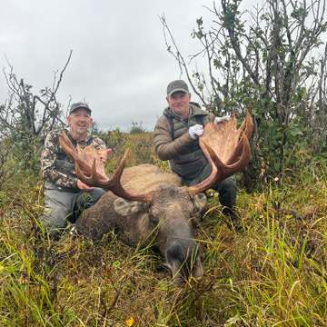 Two hunters kneeling behind a harvested bull moose with large palmate antlers in tundra scrub.